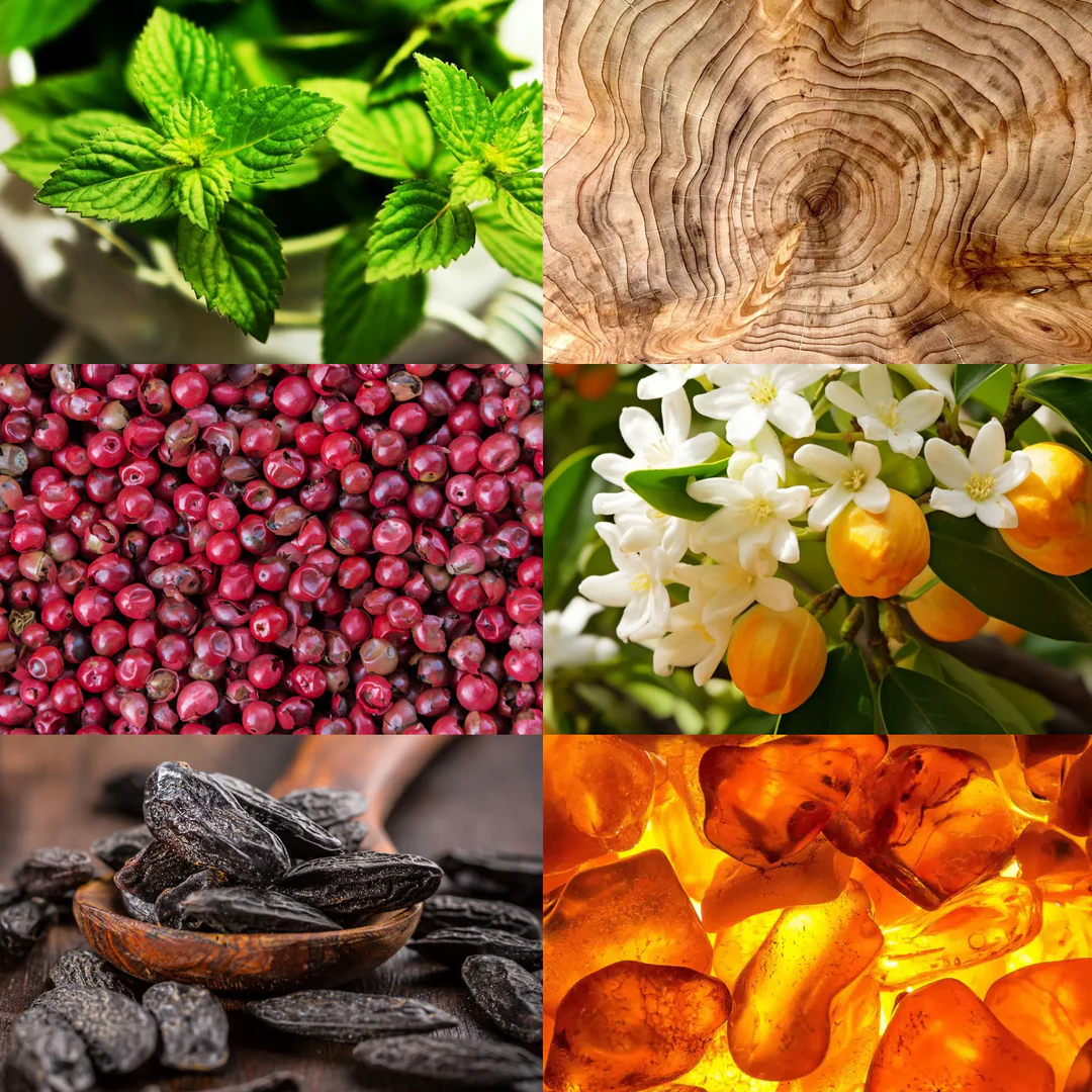 SYREN Black Caviar Pour Homme for Men 3 fl.oz EDP Spray: Unique Moving Beads