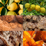 SYREN Black Caviar Paradiso Pour Homme for Men 3 fl.oz EDP Spray: Unique Moving Beads